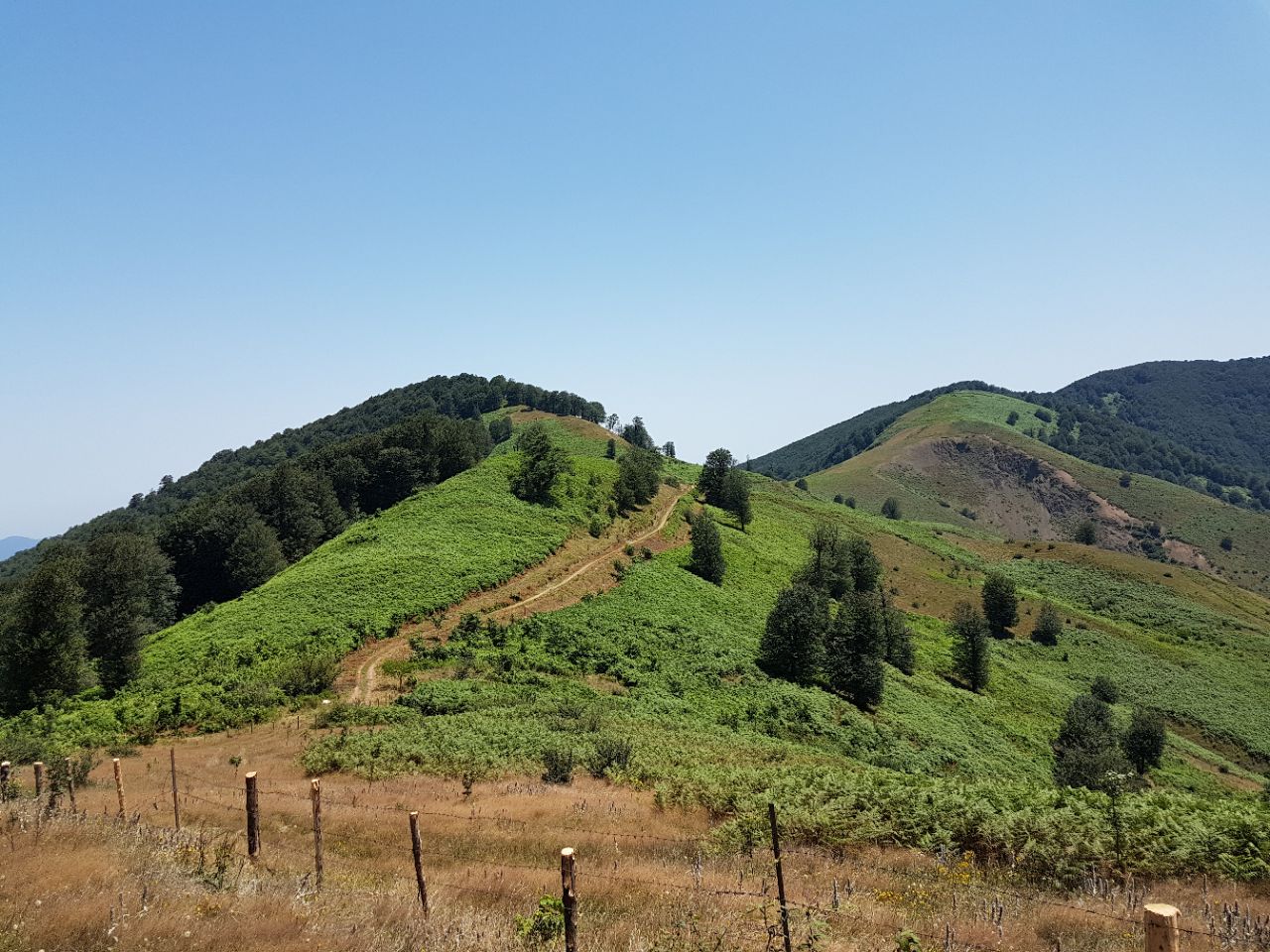 رستم آباد گیلان، رستم آباد، رستم آباد رودبار، گردشگری رستم آباد، جاذبه های رستم آباد، طبیعت گردی رستم آباد گیلان، مناطق دیدنی رستم آباد، جاهای دیدنی رستم آباد گیلان